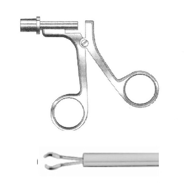 PANSUMAN FORSEPS , OVAL ÇAP  10 MM